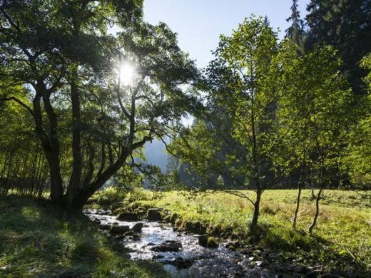 Haus Kieferneck Hotel Willingen  Ngoại thất bức ảnh